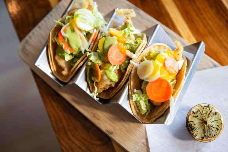 20250220 Poindexter FishfulFutureXVistal 83 768x512