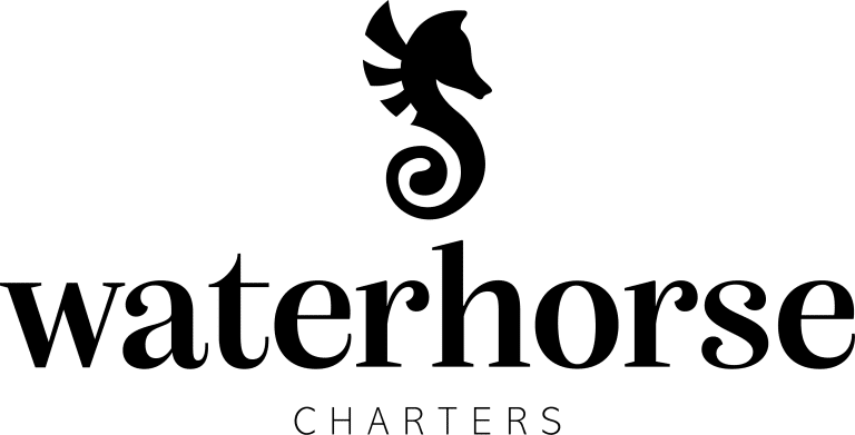 WaterHorseLogo 768x391